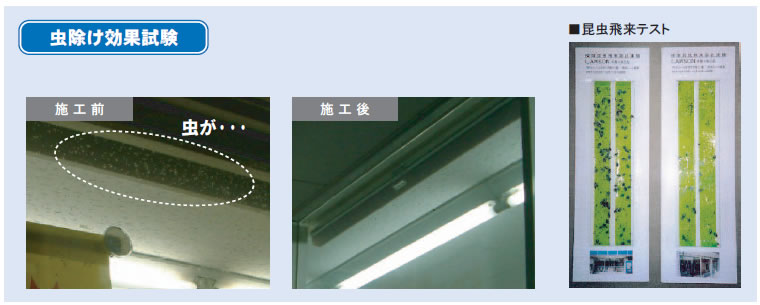 虫除け効果試験
